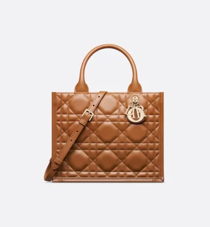 Dior Small Dior Book Tote HandBags